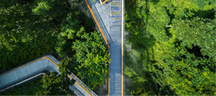 Parks & Greenways,longhua,longhua district,Longhua Government Online