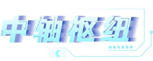 中轴枢纽