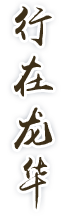 行在开元