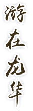 游在开元