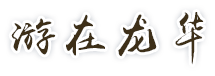游在开元
