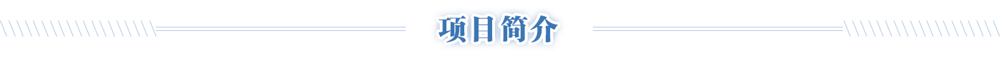 项目简介，开元，开元棋牌在线，开元政府在线